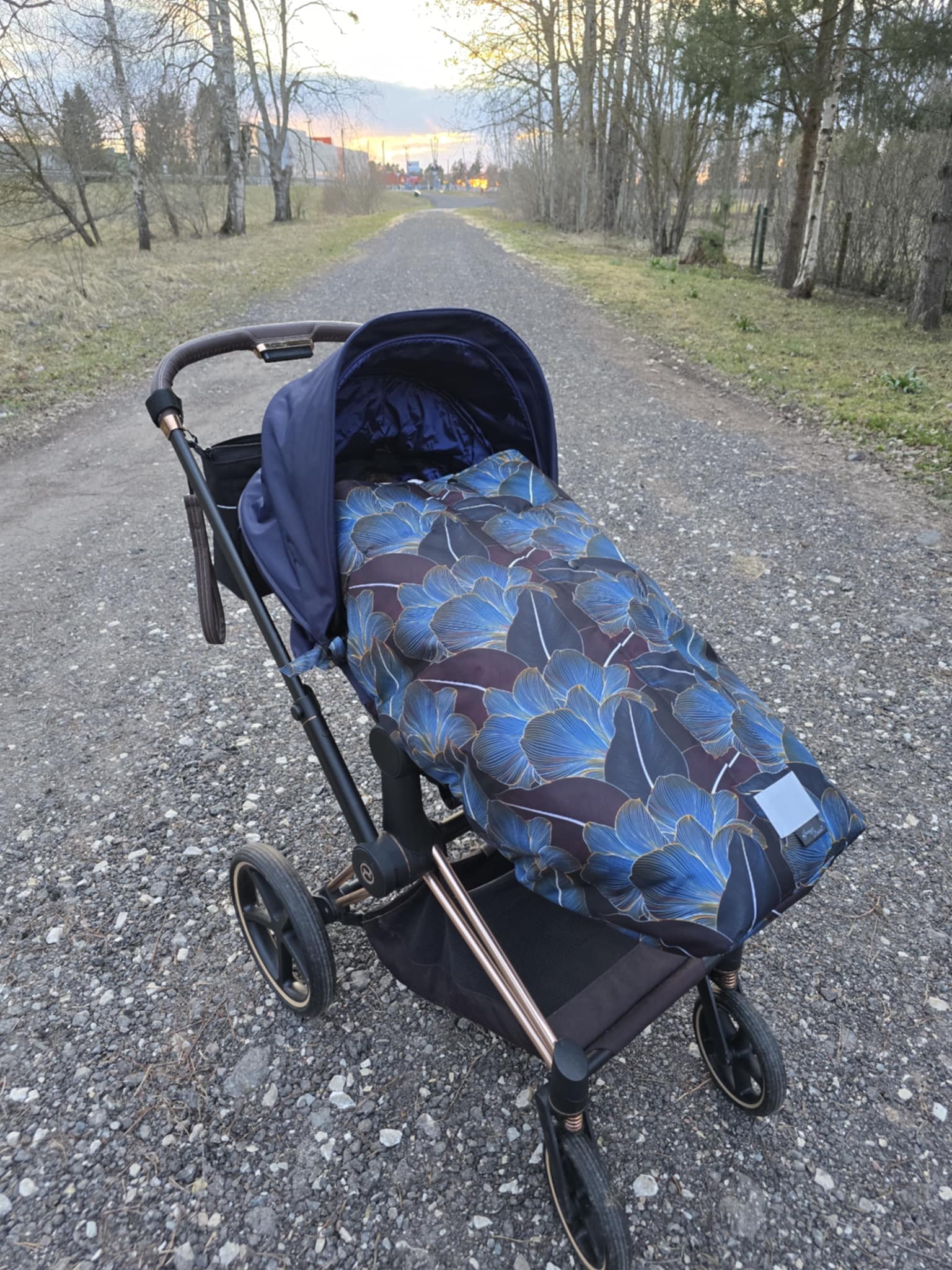 jalakate krookus Thule