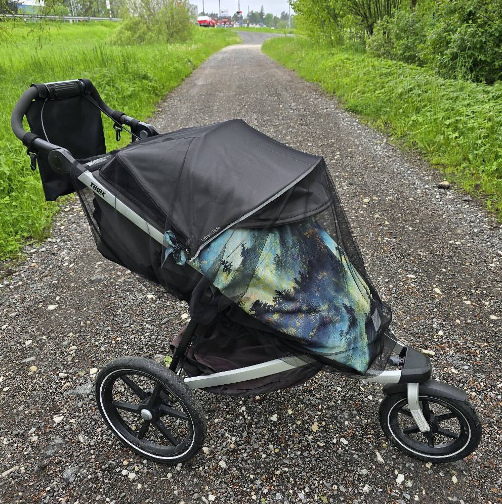 putukavõrk; sääsevõrk